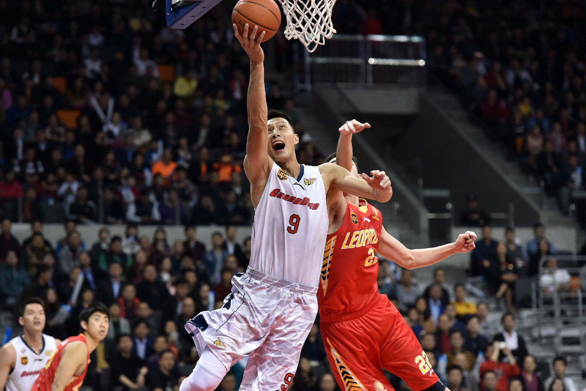 温柔而又坚 温柔而又坚