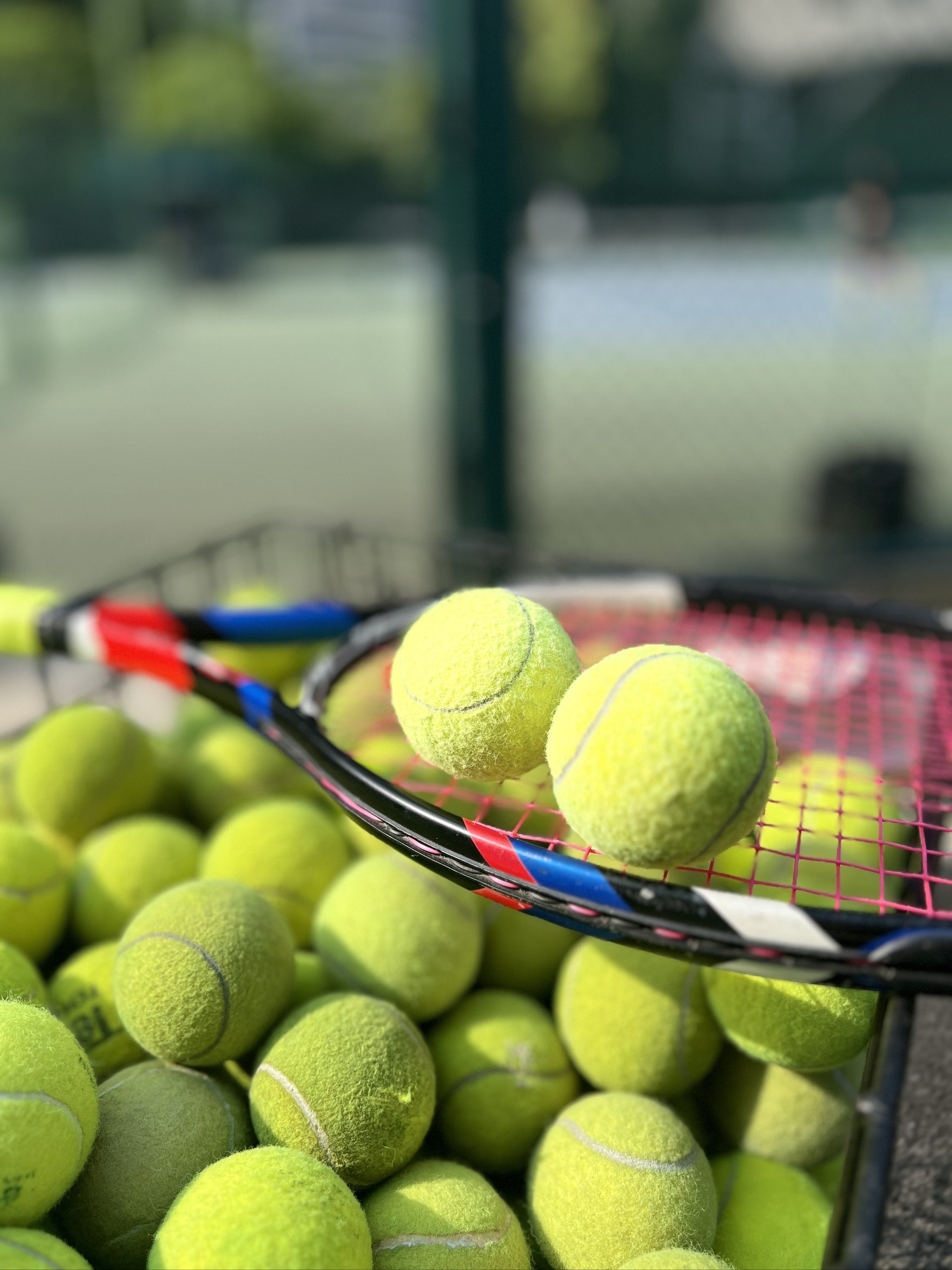 传球技能 传球技能