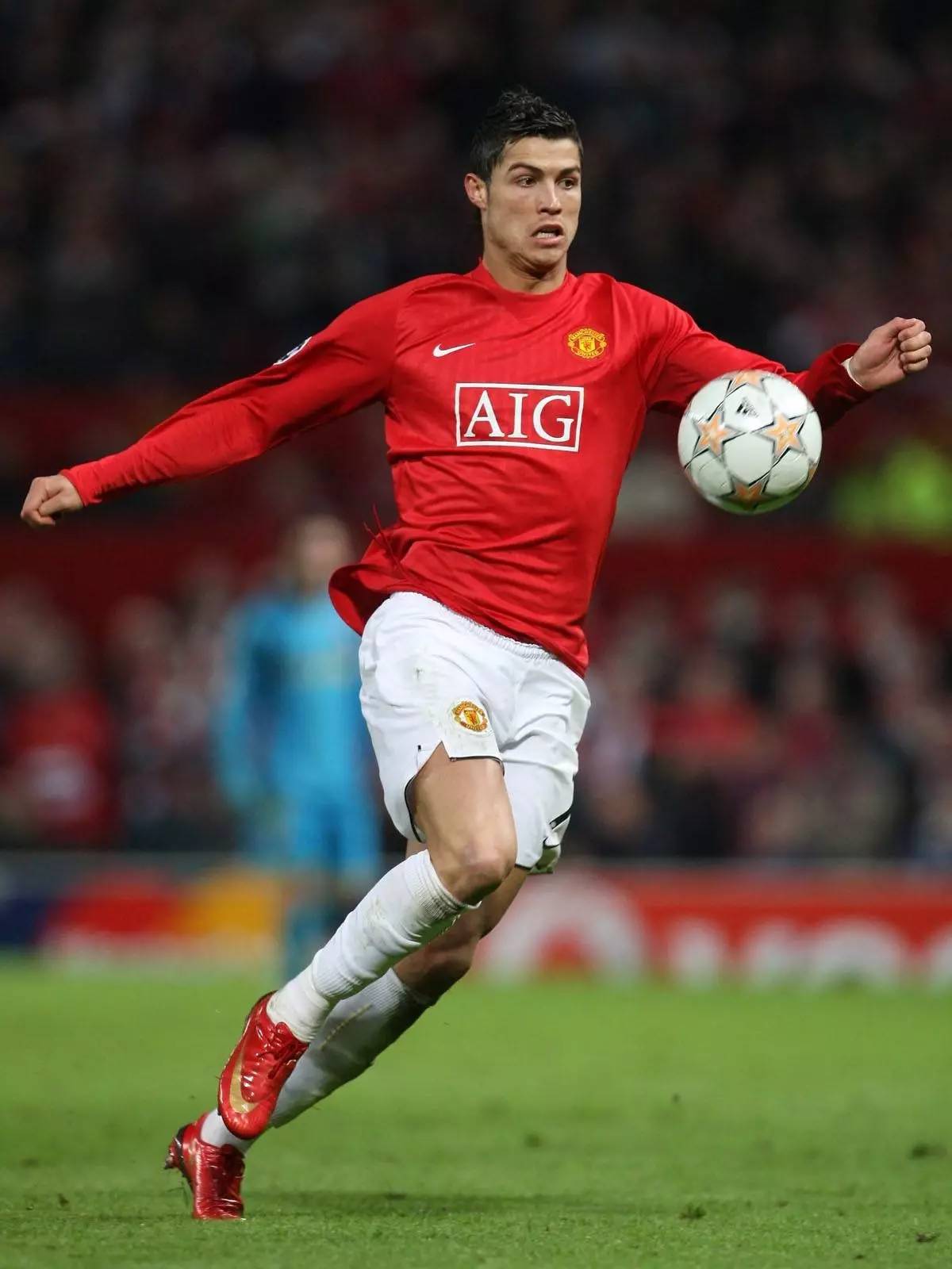 的主场观赛 的主场观赛